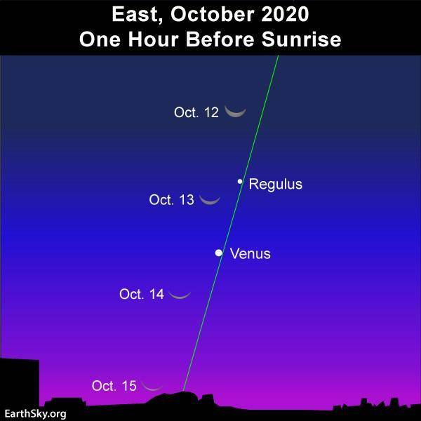 天文|定好闹钟！2020年10月明亮行星指南出炉