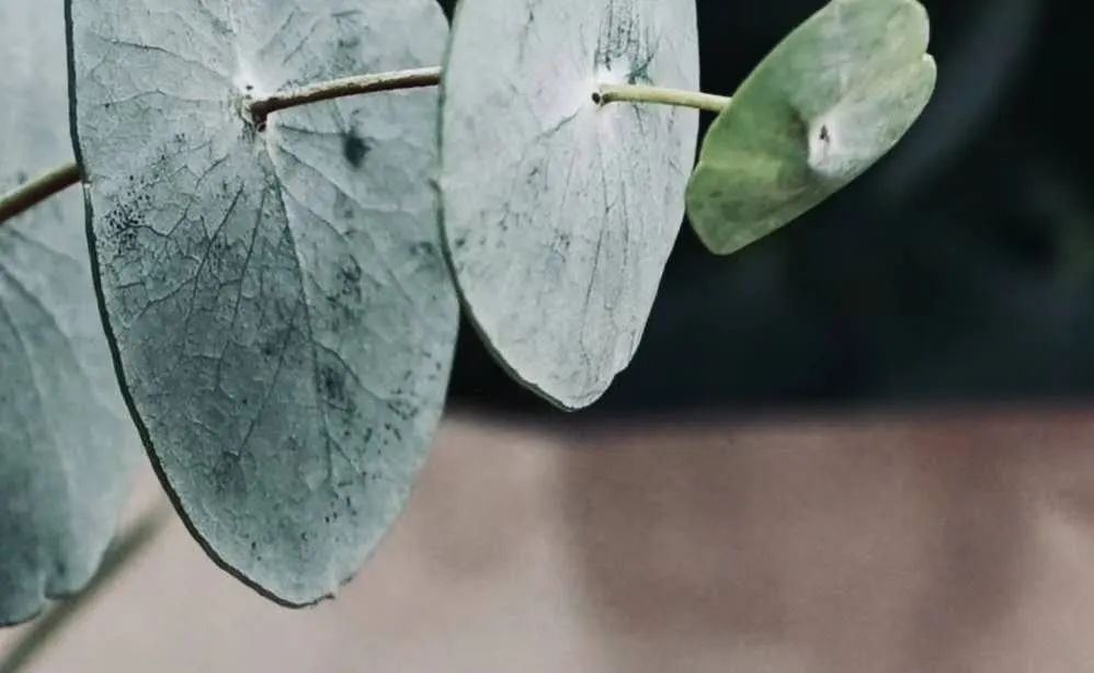 两性|家的意义是什么？这是我见过最好的答案