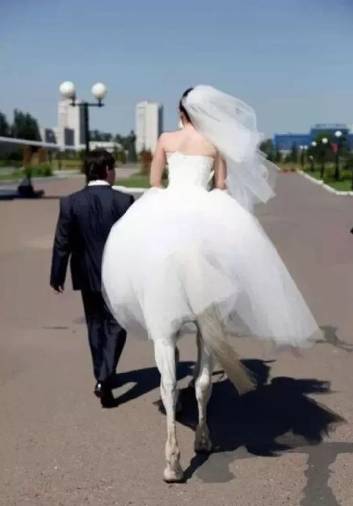 视觉志|假期夫妻婚纱照大赏