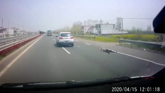 视觉志|自驾游拍下可怕画面，去公厕千万小心｜百家故事