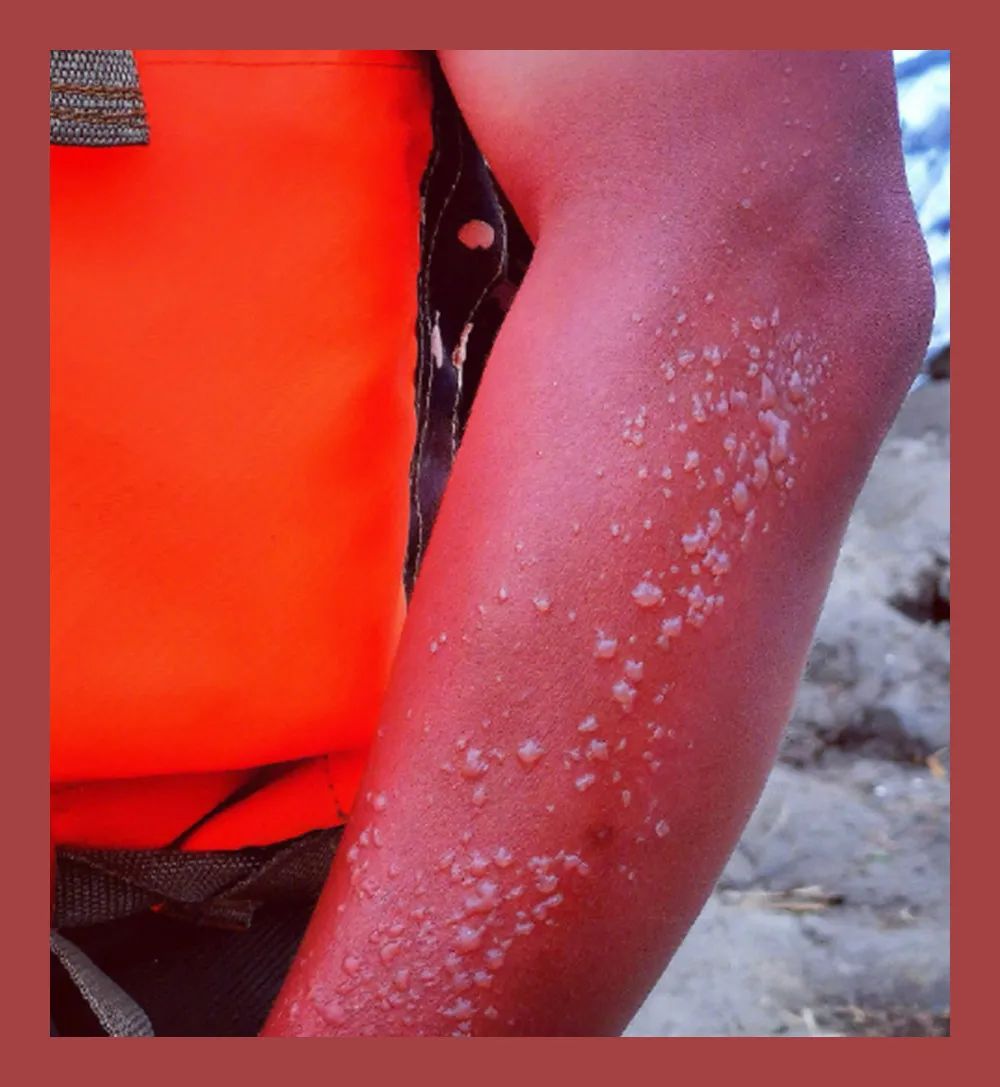 社会|这样的子弟兵,很中国!