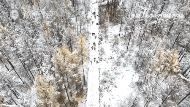 天气|北京今夜最低气温仅6℃！全国已有多地降雪，快准备厚被子吧