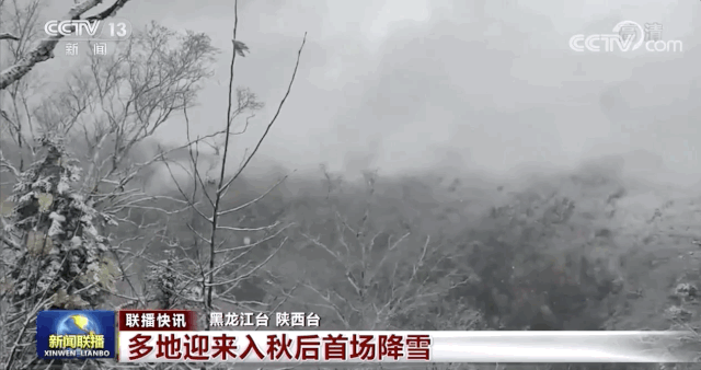 |雪?雪?雪?……第一场雪来啦