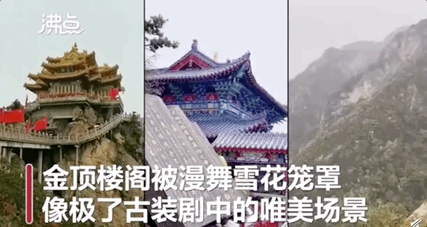 |雪?雪?雪?……第一场雪来啦