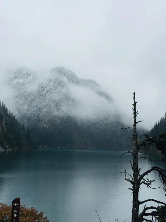 |雪?雪?雪?……第一场雪来啦
