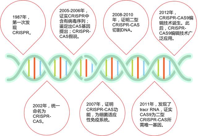 crispr|基因编辑终于等到诺贝尔化学奖！两位女科学家斩获，为何没有张锋