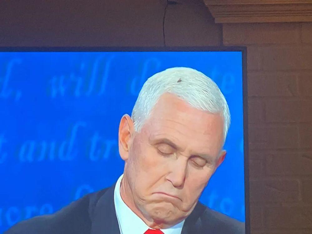 彭斯|38%-59%!美大选副总统辩论彭斯“落败”,该怪那只刷屏的苍蝇吗?