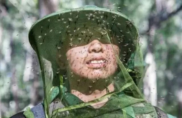 军事|“最近超火的那个大胡子军官，是我同学”