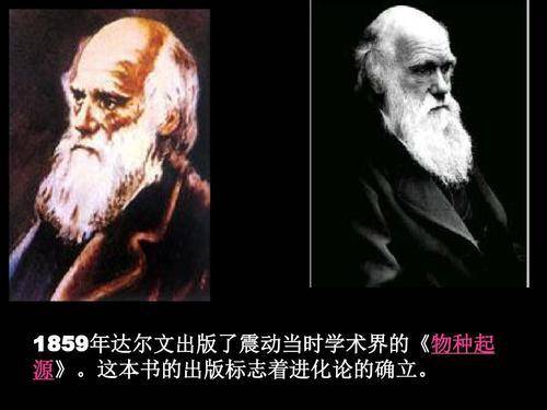 科学|为什么男性失去了“丁丁骨”？这种进化是退，还是优势？