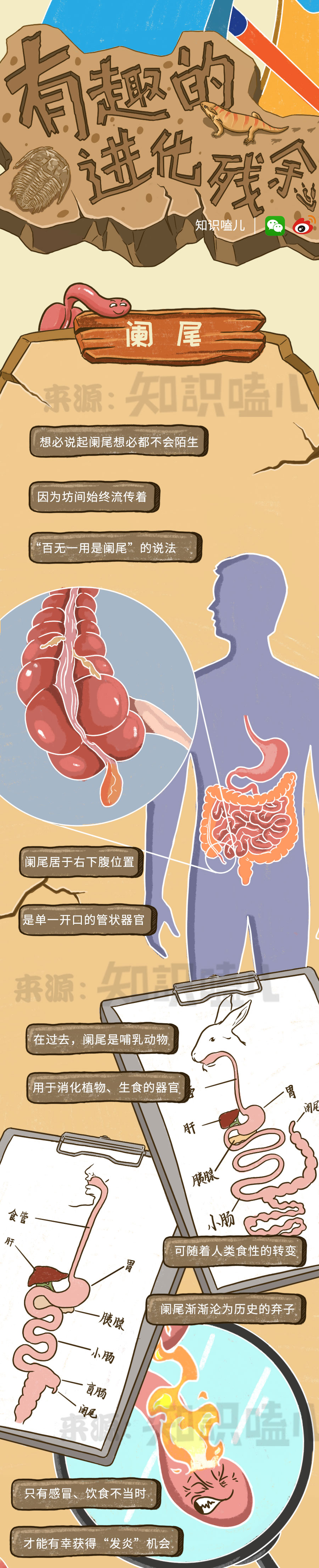 嗑儿|别不信！你比别人进化迟缓近百年！（附进化参照表）