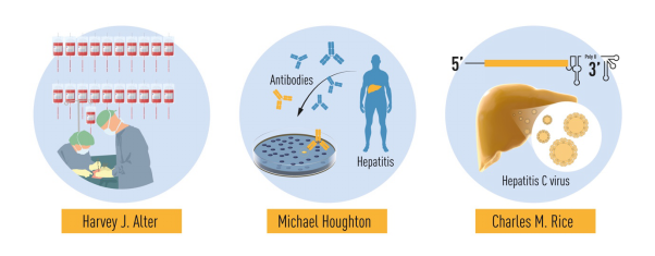 丙肝|他们发现了丙肝病毒！三位科学家荣获2020年诺贝尔生理学或医学奖