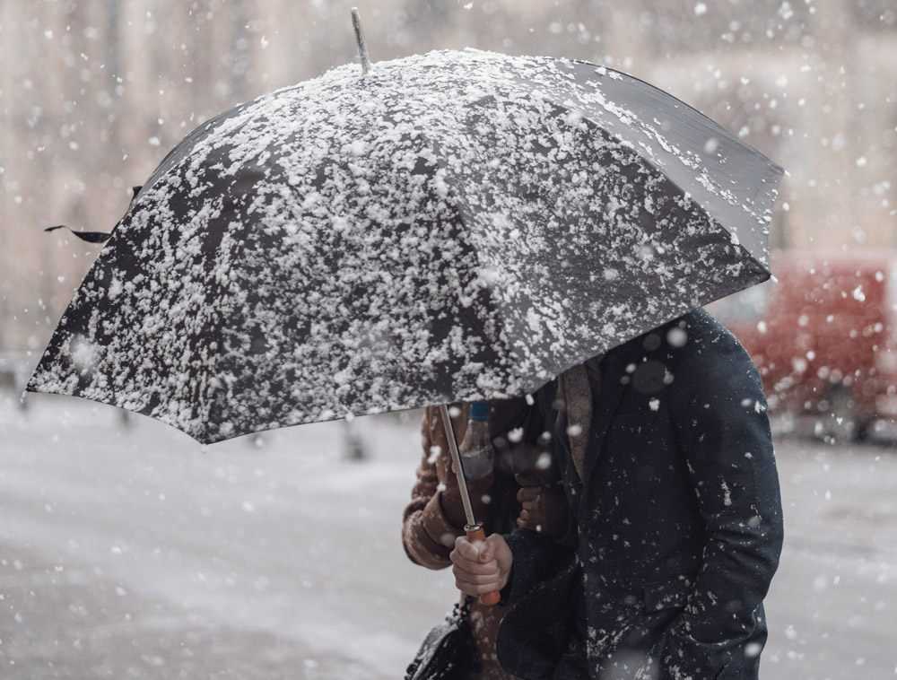 昆虫|蚊虫可以过冬吗，冬天一到是不是就都死了？不是