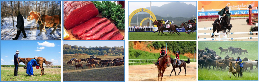 海关|请注意，非洲马瘟来势汹汹！