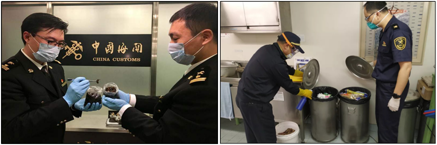 海关|请注意，非洲马瘟来势汹汹！