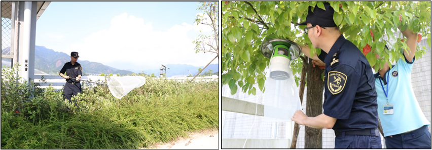 海关|请注意，非洲马瘟来势汹汹！