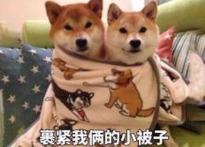 东北华北降温|冷?~冷?~冷?~ 大风、降温、降雪、提前供暖！你的秋裤准备好了吗？