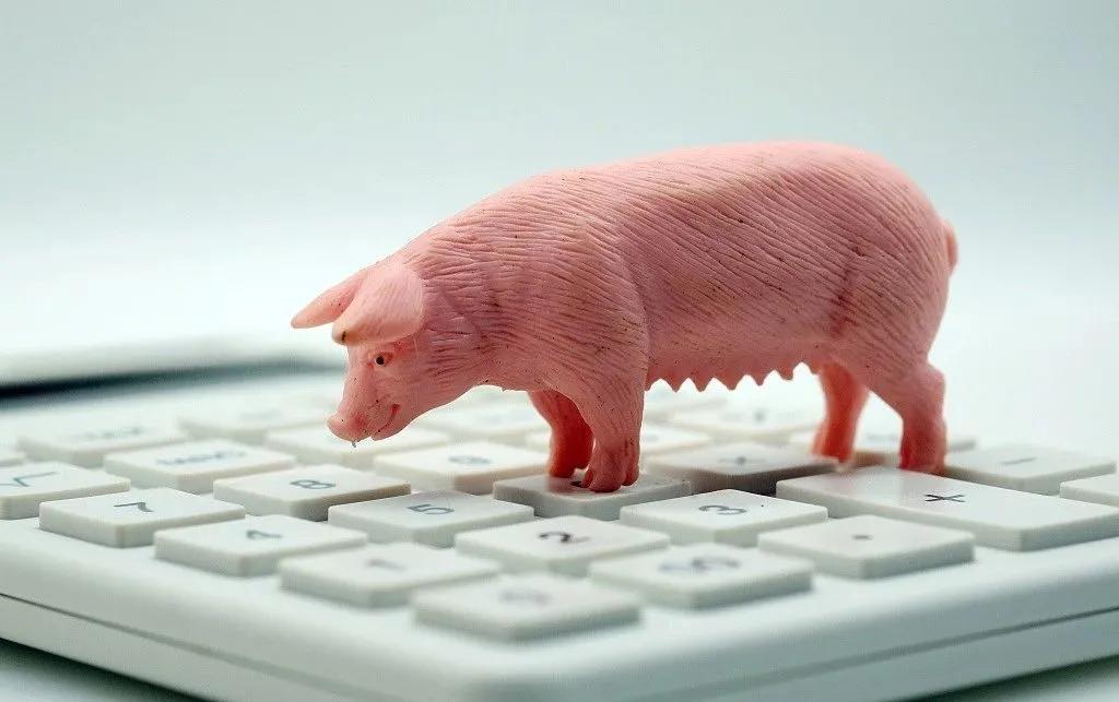 生猪|降价啦！降价啦！吃起来！