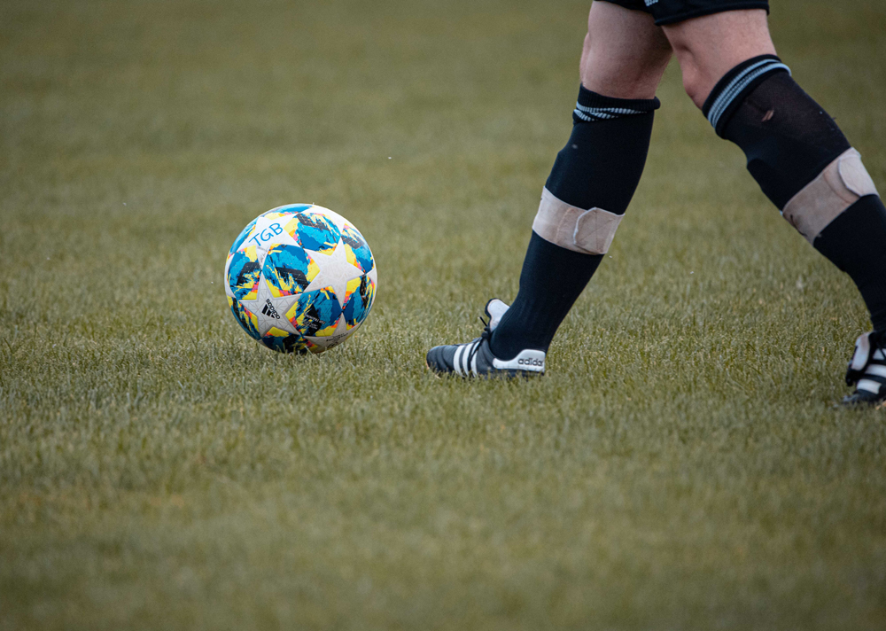 科学|苍蝇飞得并不快，可你就是无法打到它，知道是什么原因吗？