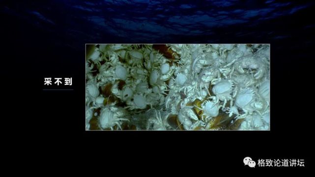 甲烷|在海底做实验，这个指哪打哪的探针帮了大忙