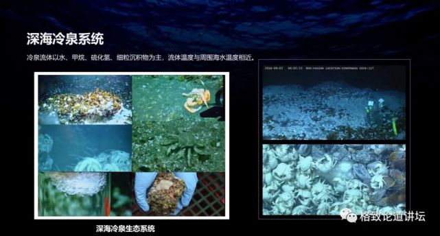 甲烷|在海底做实验，这个指哪打哪的探针帮了大忙