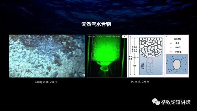 甲烷|在海底做实验，这个指哪打哪的探针帮了大忙