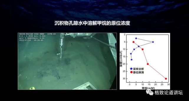 甲烷|在海底做实验，这个指哪打哪的探针帮了大忙