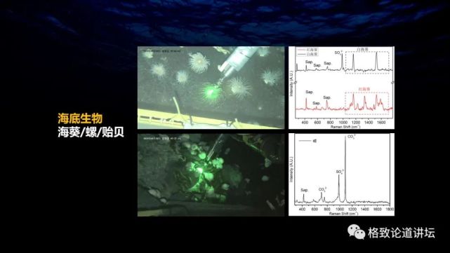 甲烷|在海底做实验，这个指哪打哪的探针帮了大忙