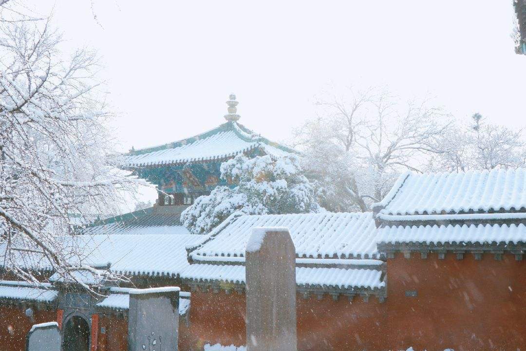 拉尼娜|2020年是寒冬还是暖冬？