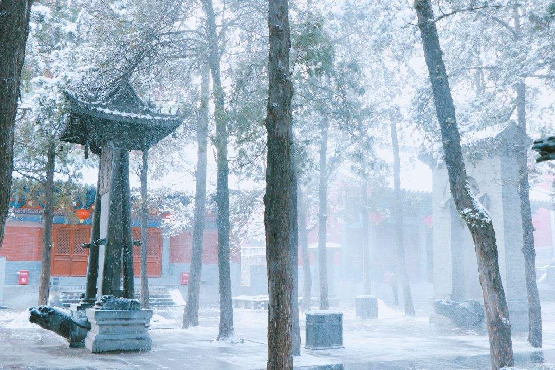 拉尼娜|2020年是寒冬还是暖冬？