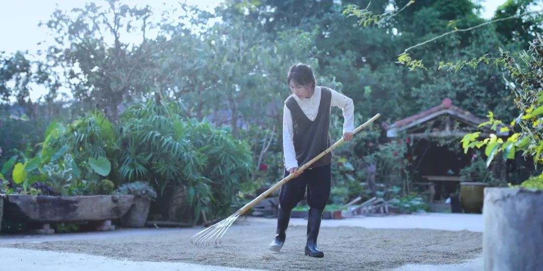 紫米|时间有点忒快了，又是一年忙秋收的季节~