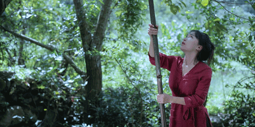 紫米|时间有点忒快了，又是一年忙秋收的季节~