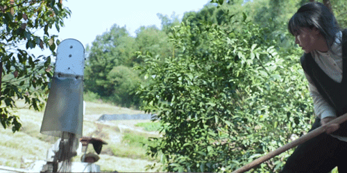 紫米|时间有点忒快了，又是一年忙秋收的季节~