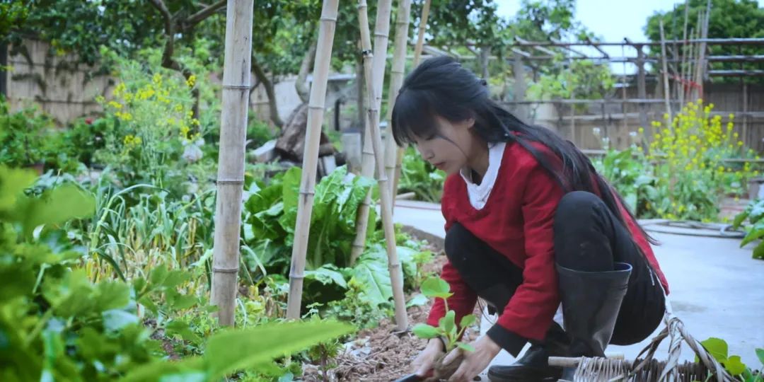 紫米|时间有点忒快了，又是一年忙秋收的季节~