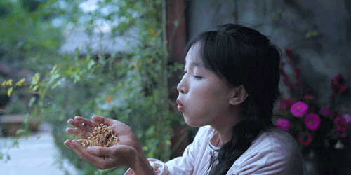 紫米|时间有点忒快了，又是一年忙秋收的季节~