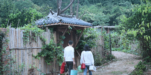 紫米|时间有点忒快了，又是一年忙秋收的季节~