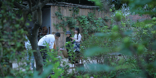 紫米|时间有点忒快了，又是一年忙秋收的季节~