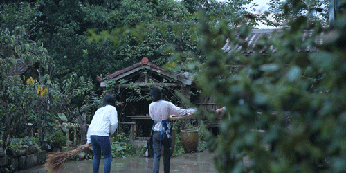 紫米|时间有点忒快了，又是一年忙秋收的季节~
