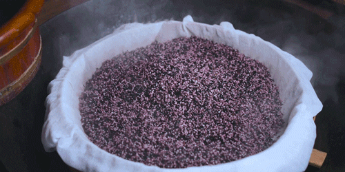 紫米|时间有点忒快了，又是一年忙秋收的季节~