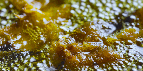 紫米|时间有点忒快了，又是一年忙秋收的季节~