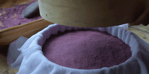 紫米|时间有点忒快了，又是一年忙秋收的季节~