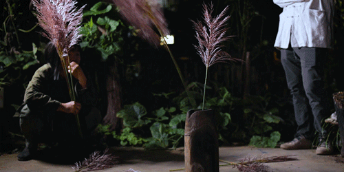 紫米|时间有点忒快了，又是一年忙秋收的季节~