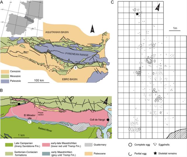 恐龙|除了恐龙，谁还吃恐龙？