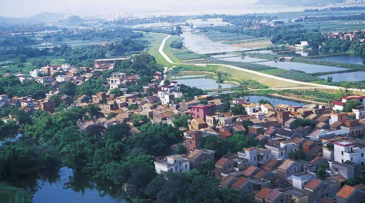 蛔虫|过去农村常见的蛔虫、虱子，跳蚤，为什么现在都不见了？