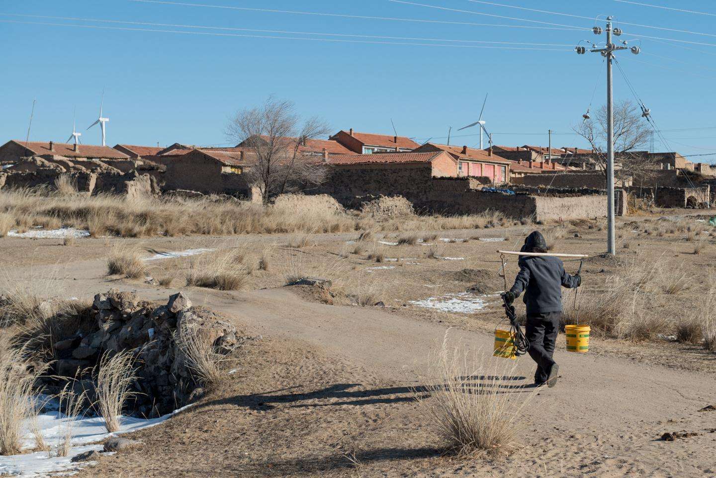 蛔虫|过去农村常见的蛔虫、虱子，跳蚤，为什么现在都不见了？