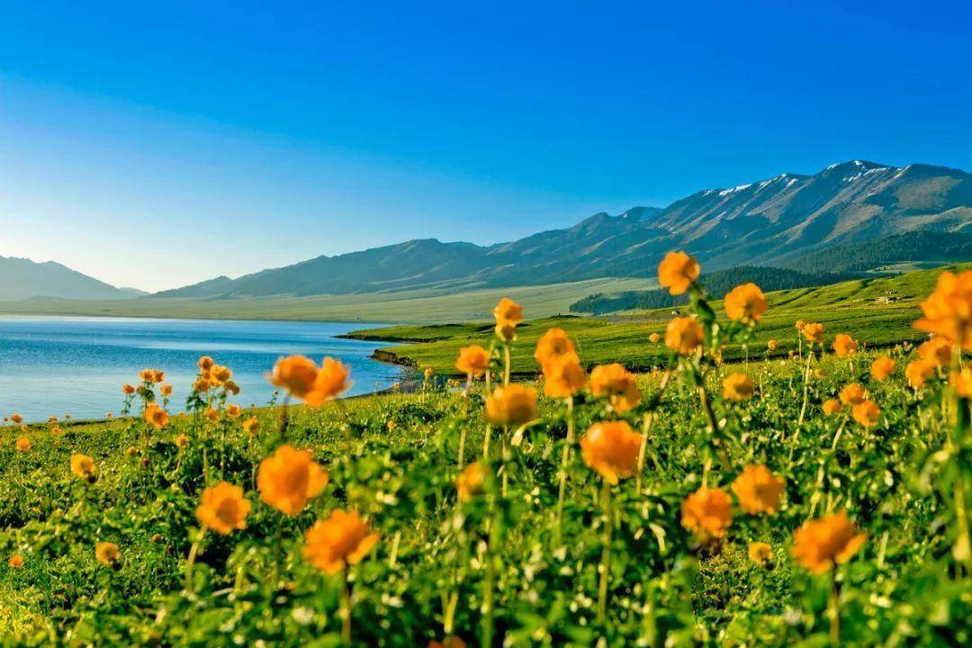 生殖隔离|为什么人类和所有生物都有生殖隔离？没有生殖隔离会怎样？