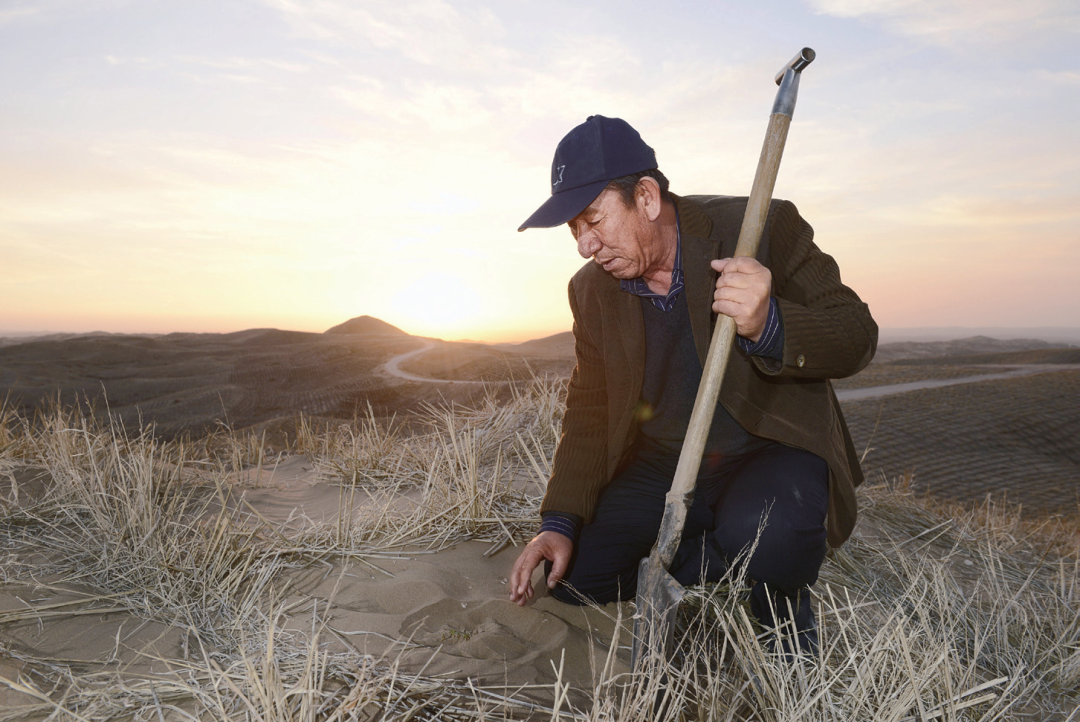 王有德:在治沙播绿中实现人生价值