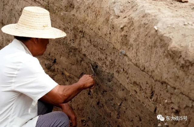 考古|这本书,满足你对考古的好奇