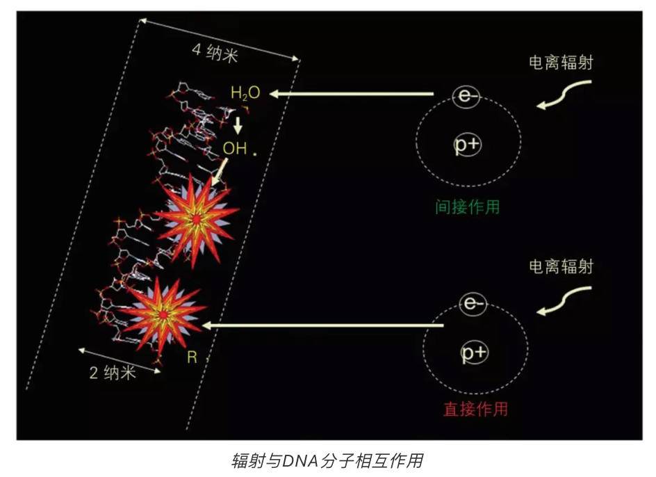 辐射剂量|他被高能辐射爆头，保住了性命，却留下了“阴阳脸”