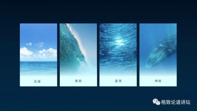 海参|除了能提高人体免疫力，这个“肥宅”还是海底清道夫