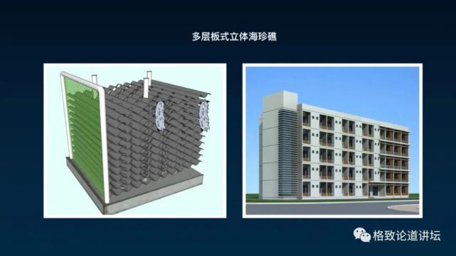 海参|除了能提高人体免疫力，这个“肥宅”还是海底清道夫